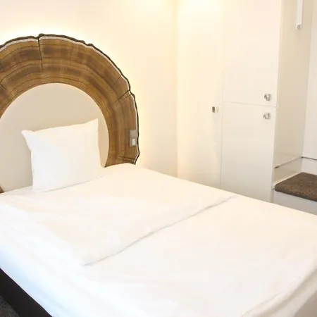 Taome Feng Shui Stadthotel Breisgau 3*