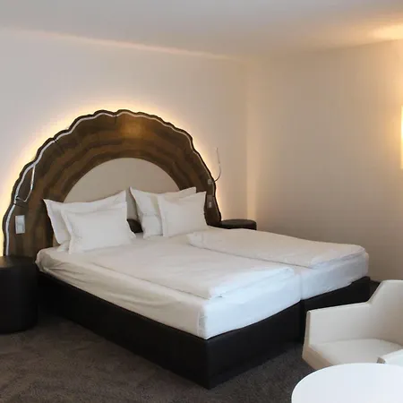 Taome Feng Shui Stadthotel Breisgau 3* Emmendingen
