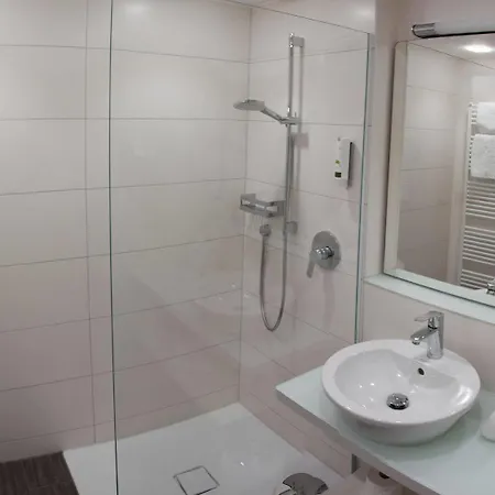 Hotel Taome Feng Shui Stadthotel Breisgau 3*